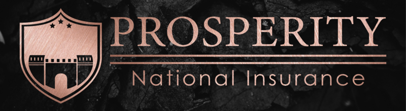 Prosperity National Insurance logo